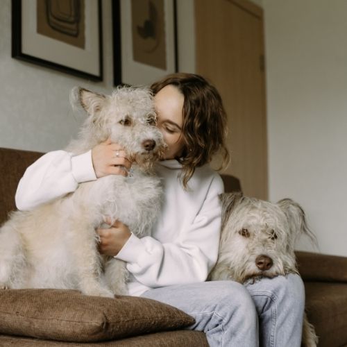 petgifts | Achteraf Betalen | Billink
