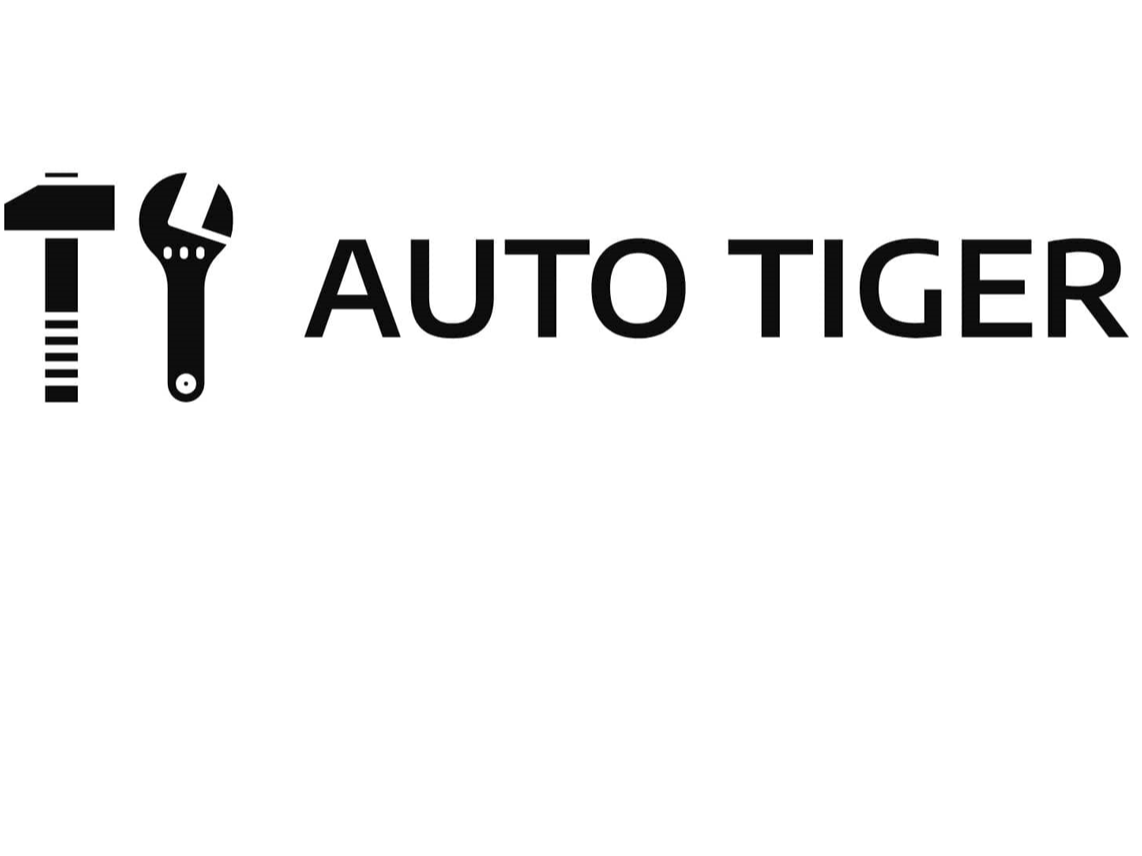 Auto Tiger Billink