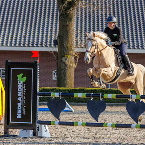 Hindernis Nedlandic blond paard | Achteraf Betalen | Billink