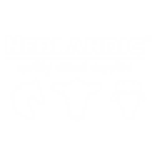 Nedlantic white logo | Achteraf Betalen | Billink