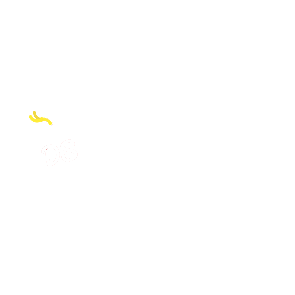 dailystyle white logo | Achteraf Betalen | Billink