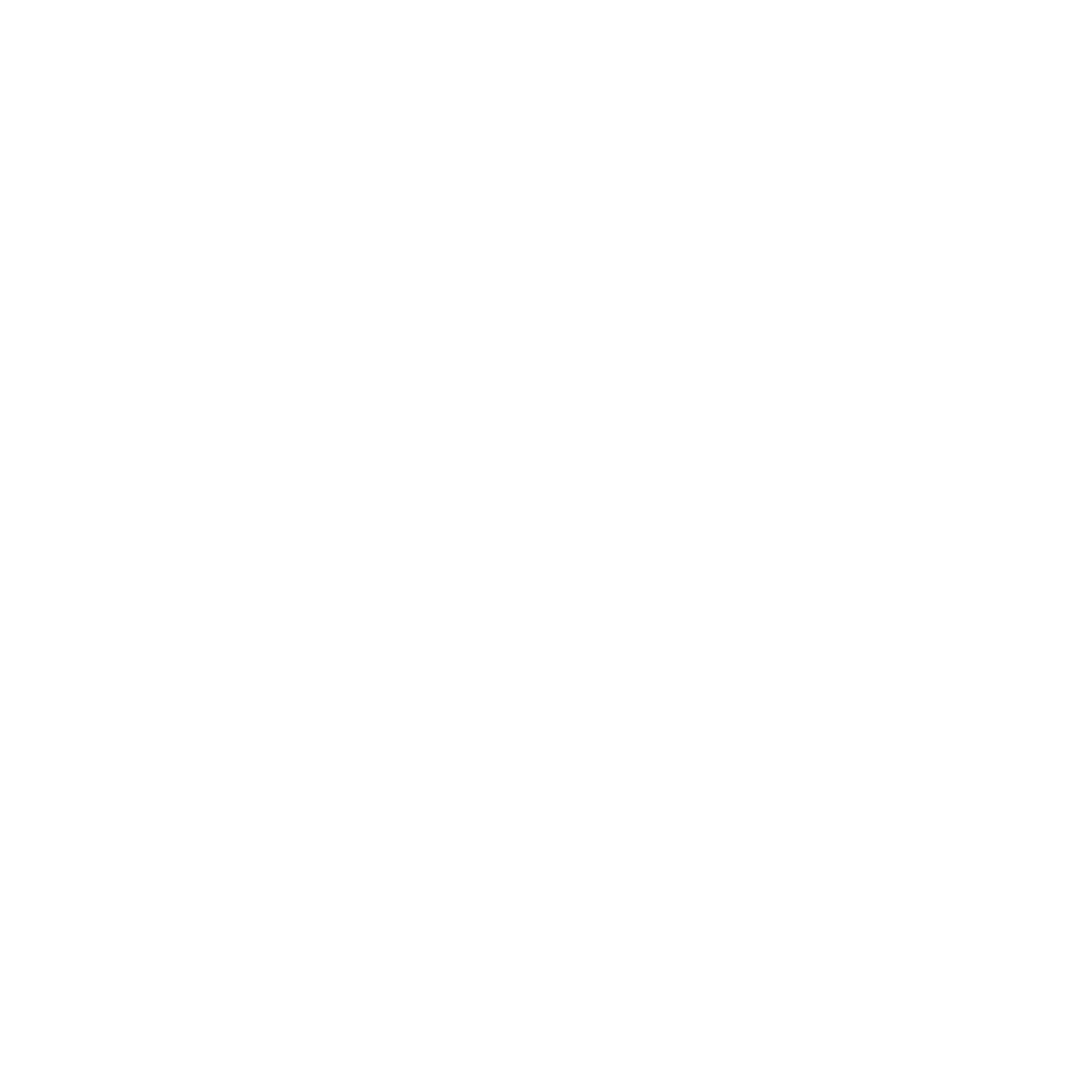 bagageonline white logo | Achteraf Betalen | Billink